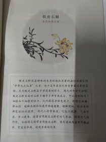 图识本草周历（2023-2024）看图识本草 彩图版 国画本草画家朱秀平绘画 中医古籍出版社 21-2