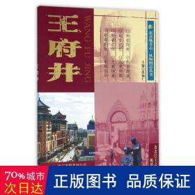 王府井/北京地方志风物图志丛书 商业贸易 王之鸿//姚德仁|主编:段柄仁