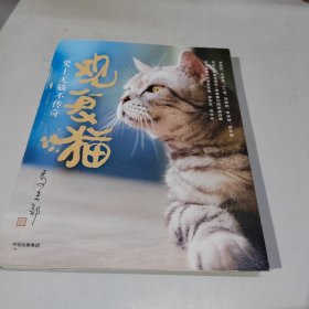 观复猫：史上无猫不传奇