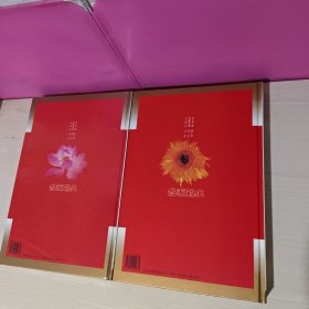名画观止（全二册）中国名画鉴赏大图典+外国名画鉴赏大图典(豪华珍藏版8开盒装)有收藏证书