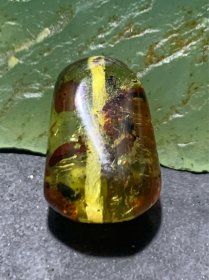 乌克兰花珀通货随形珠一个，
