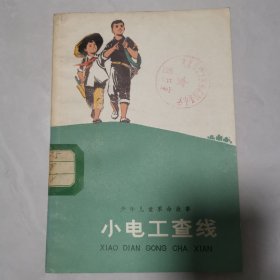 小电工查线(插图本)