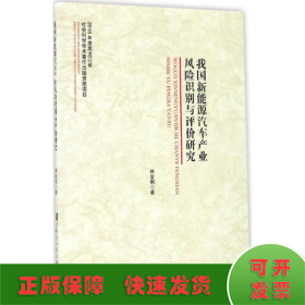 我國新能源汽車產(chǎn)業(yè)風(fēng)險識別與評價研究
