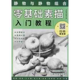 零基础素描入门教程：静物与静物组合 美术技法 飞乐鸟工作室 新华正版