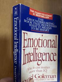 Emotional Intelligence：Why It Can Matter More Than IQ