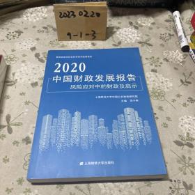 2020中国财政发展报告风险应对中的财政及启示