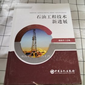 石油工程技术新进展2014-2019（有破损）