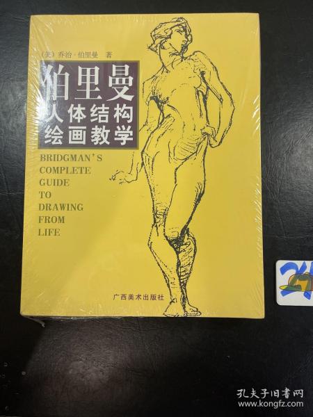 伯里曼人体结构绘画教学