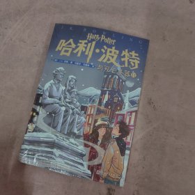 哈利·波特与死亡圣器Ⅱ（20周年纪念版 第18卷）