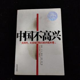 中国不高兴 ：大时代大目标及我们的内忧外患