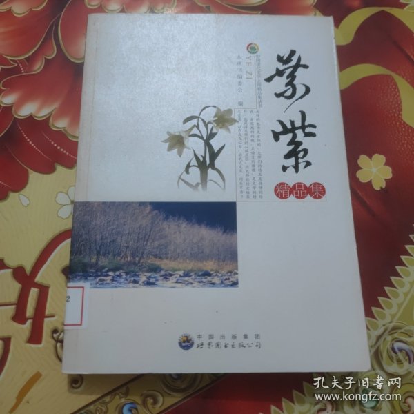 中国现代文学大师精品集丛书-叶紫