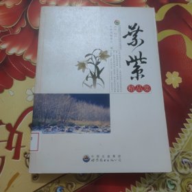 中国现代文学大师精品集丛书-叶紫