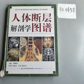 人体断层解剖学图谱