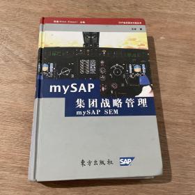 mySAP集团战略管理