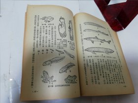 博物知识 修订本 （多插图，彭庆昭 编著，周建人校， 人民出版社1952年8版）2023.11.25日上