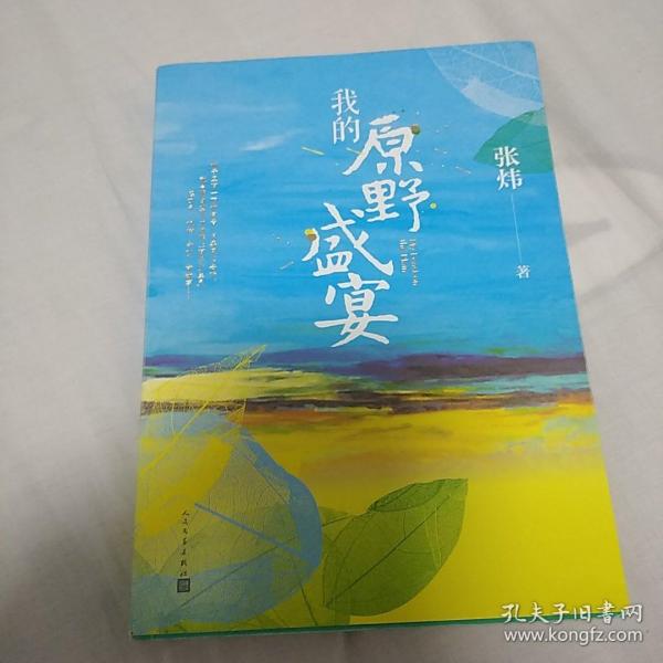 我的原野盛宴（茅盾文学奖获奖作家张炜全新力作）