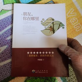 金麻雀获奖作家文丛·刘建超卷：朋友你在哪里