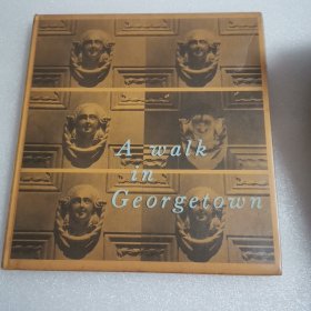 A walk in Georgetown（散步在格鲁吉亚）建筑摄影画册