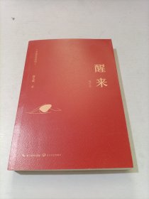 寻找安详系列：醒来（修订版）