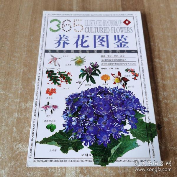 盆栽花草：365种观赏植物的彩色图鉴