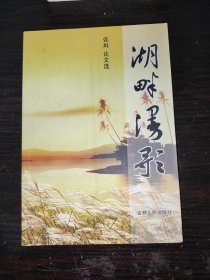 湖畔漫歌 张坦论文选·.