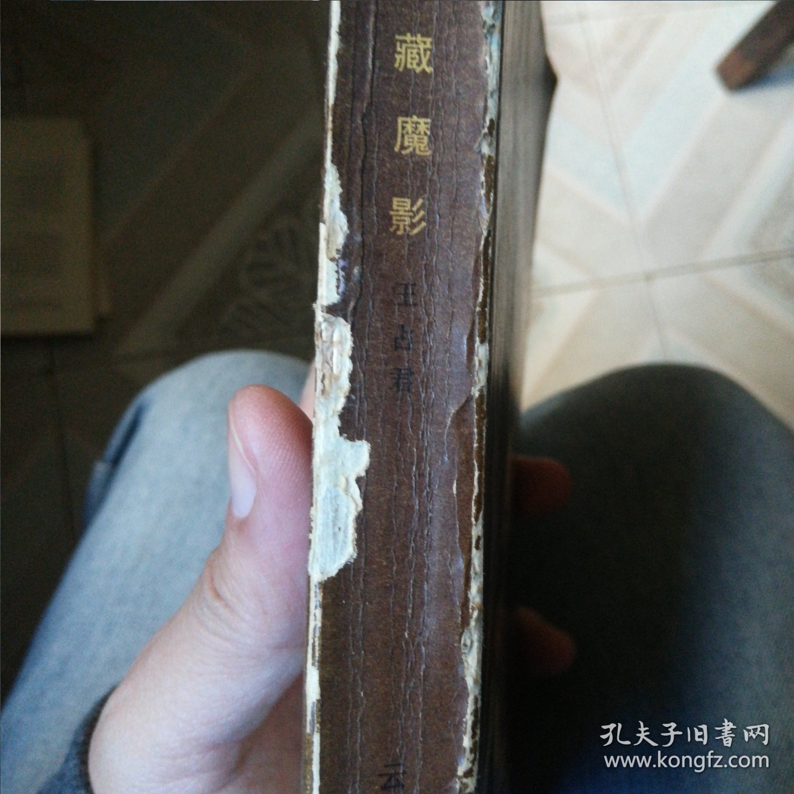 东藏魔影 自藏书自然黄旧，无字划不缺页