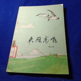大雁高飞【馆藏