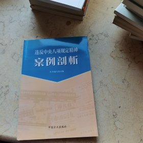 违反中央八项规定精神案例剖析