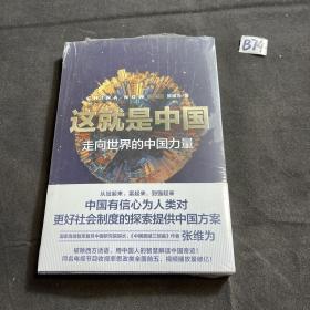 这就是中国:走向世界的中国力量（塑封未拆）