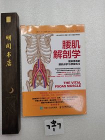 腰肌解剖学 缓解疼痛的腰肌保护与修复练习