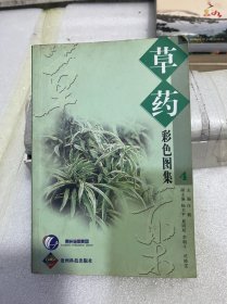 草药彩色图集4