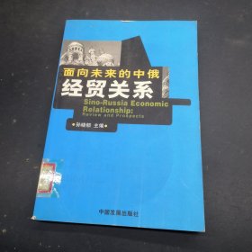 面向未来的中俄经贸关系