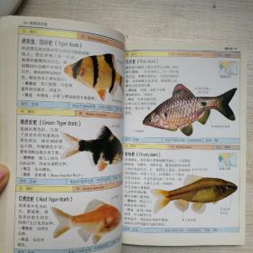 观赏鱼：全世界500多种观赏鱼的彩色图鉴