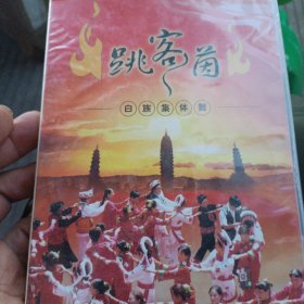 跳客茵白族集体舞（VCD十CD）