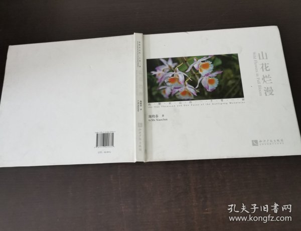 山花烂漫