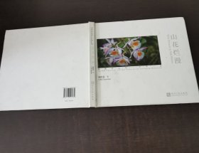 山花烂漫