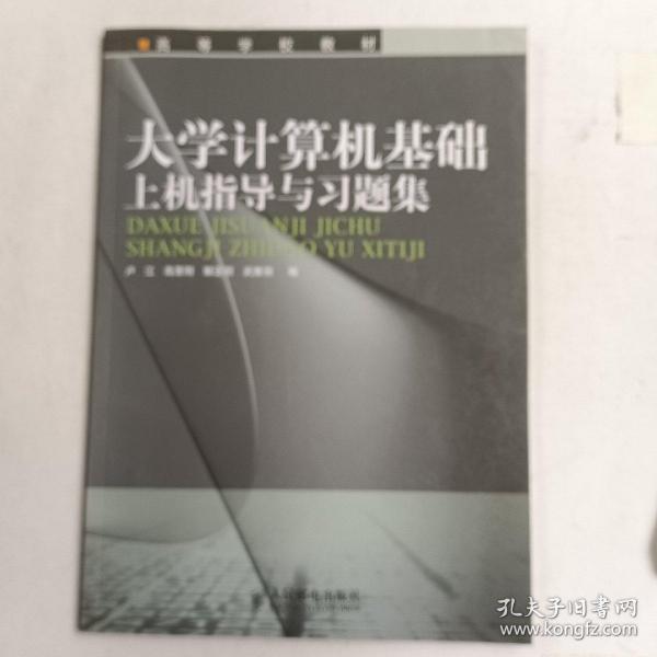 大学计算机基础上机指导与习题集——高等学校教材