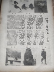 《峨眉山的猿群》，作者朱伯商。介绍峨眉山猿猴的故事。作者曾经两次探访峨眉山的猴群，洗象池的猴群。1947年杂志的文章。一张纸。有猿猴图片。朱伯商，即朱偰，出身于浙江海盐一个世代书香的家庭，著名历史学家朱希祖长子。字伯商，1907年4月15日出生，浙江海盐人著名财经专家、国学大师、文物保护专家