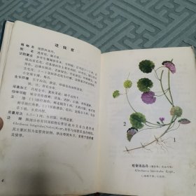 陕甘宁青中草药选（全一册软精装本）