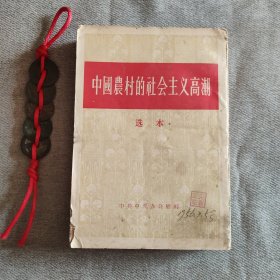 中国农村的社会主义高潮
