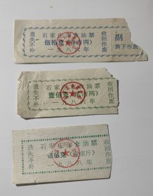 1986年1988年石家庄市食油票三种，石家庄市粮票油票