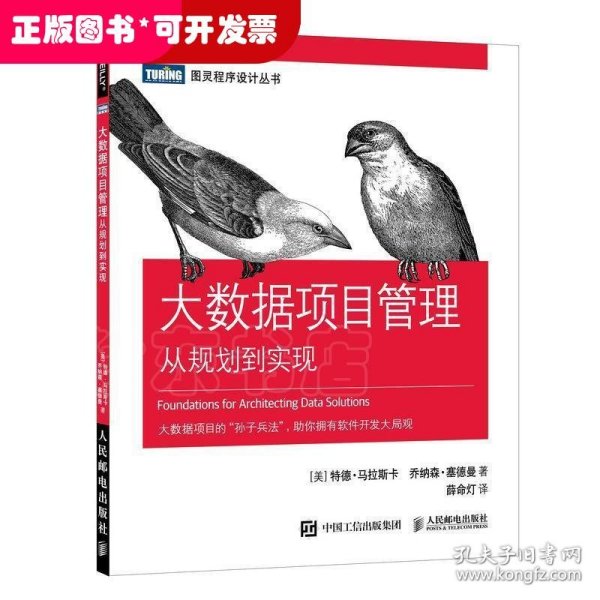 大数据项目管理从规划到实现