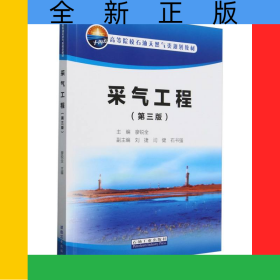 采氣工程(第3版高等院校石油天然氣類規(guī)劃教材)