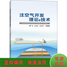 注空氣開發(fā)理論與技術(shù)