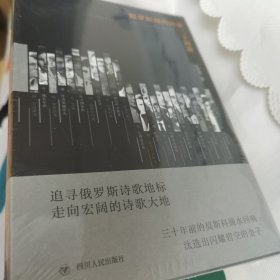 俄罗斯现代诗歌二十四讲