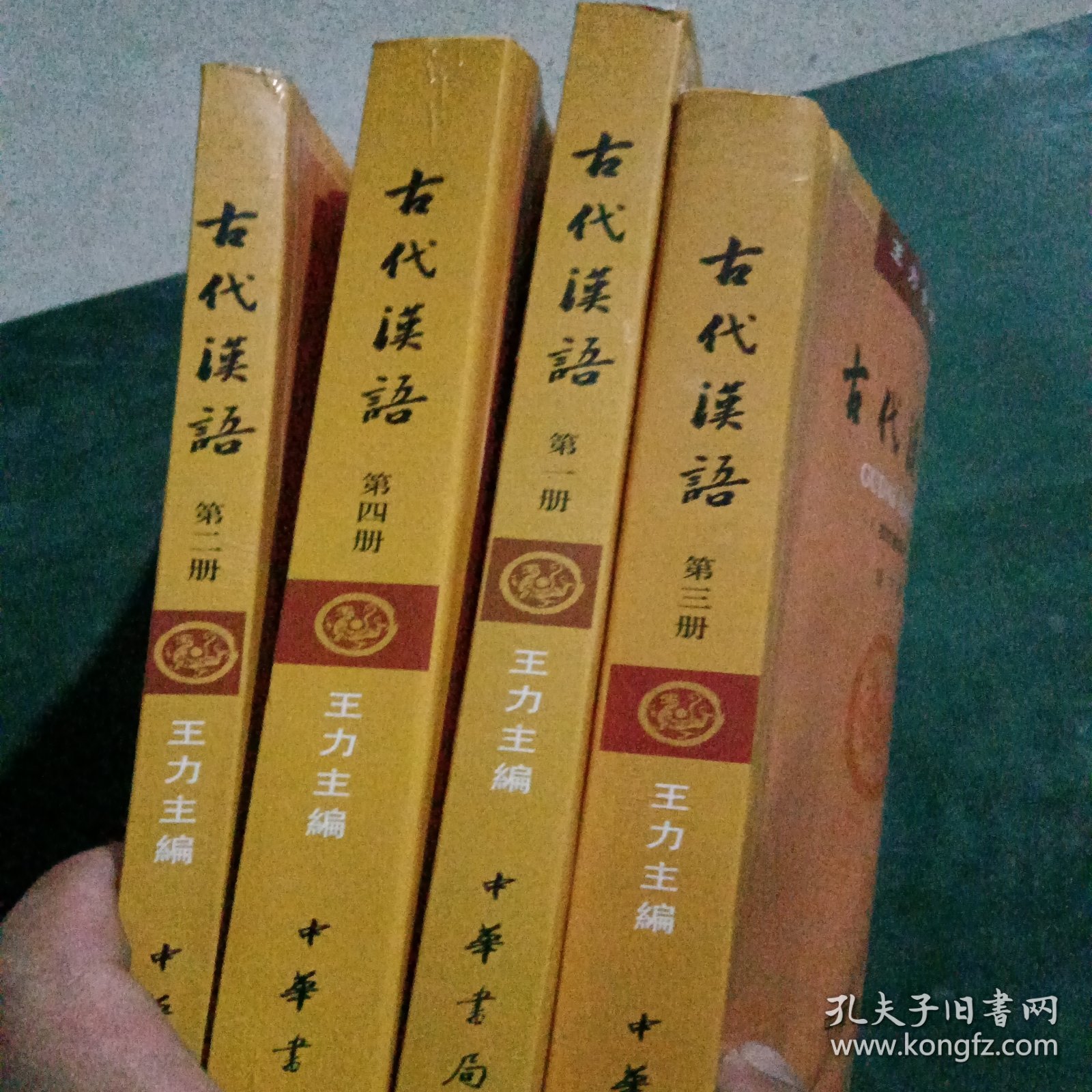 古代汉语（1234校订重排本）