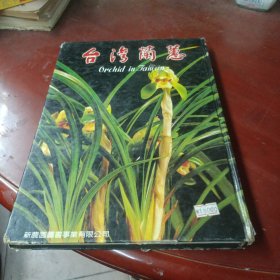 《台湾兰蕙》外品差些，内品好