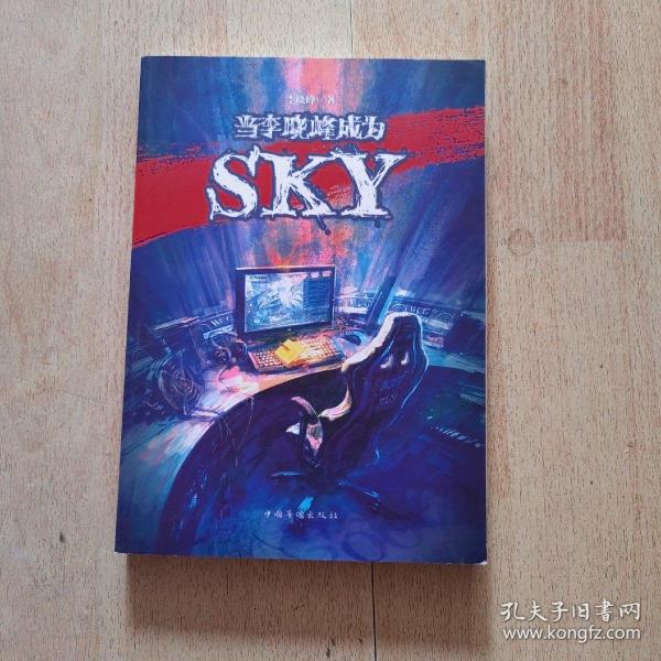 当李晓峰成为SKY