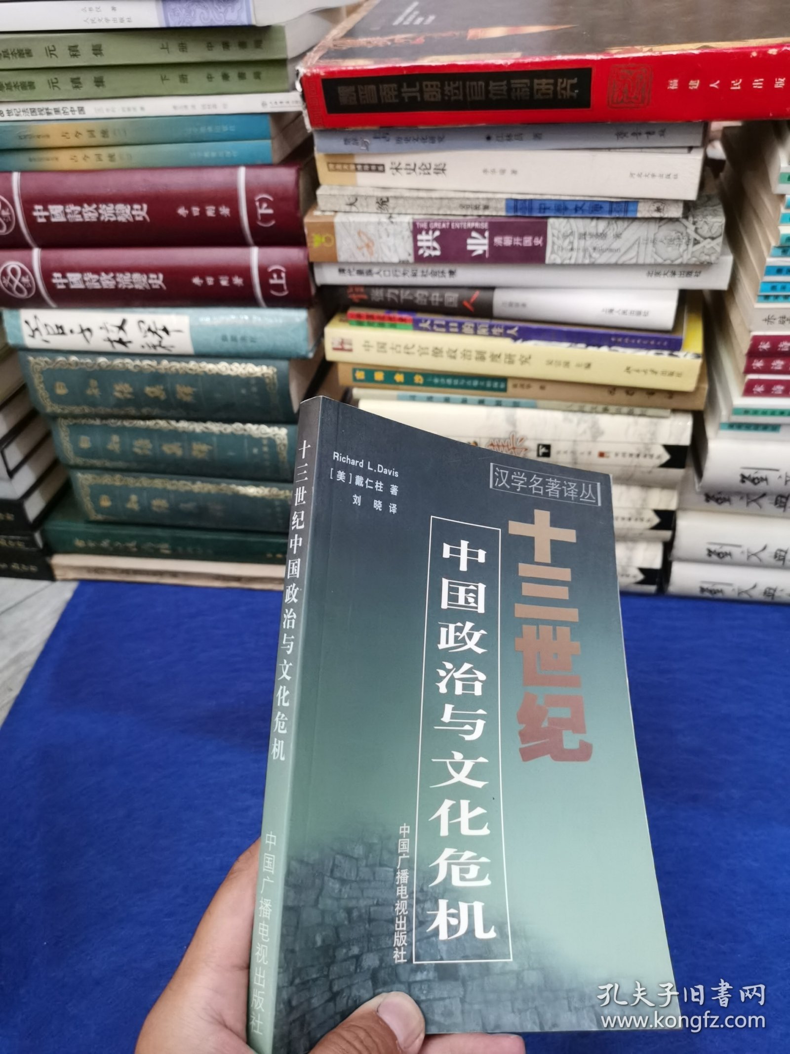 十三世纪中国政治与文化危机