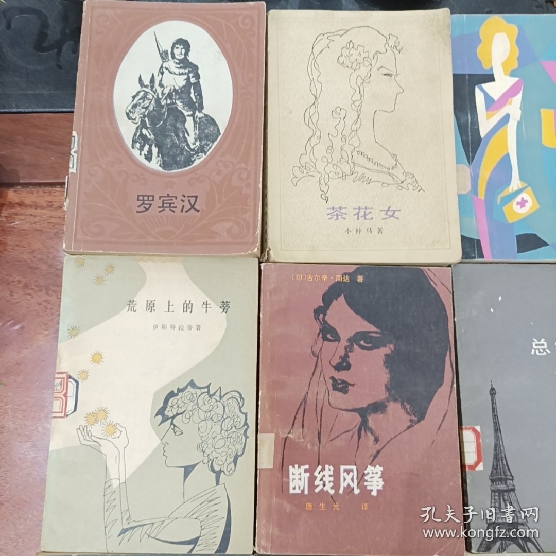 八九十年代外国名著泽作一一罗宾汉茶花女牛虻等15册合拍，几乎都是品好的未阅本，其中不乏精美的插图本，见图